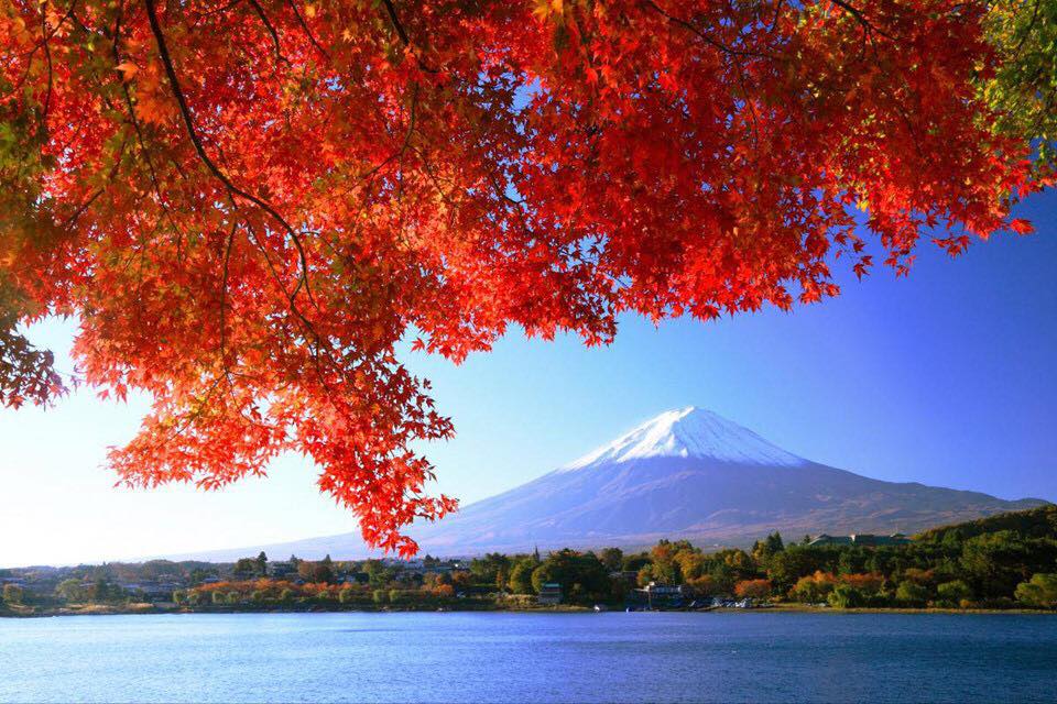 Du lịch Đà Nẵng nên đi thời gian nào Du lịch Đà Nẵng nên đi thời gian nào